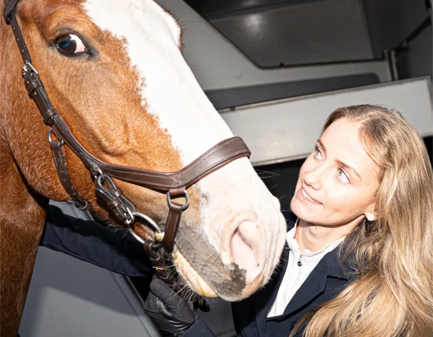 Bild på häst och ryttare